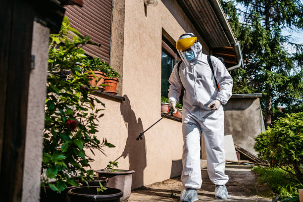 Best Emergency Pest Control  in Lake Cherokee, TX