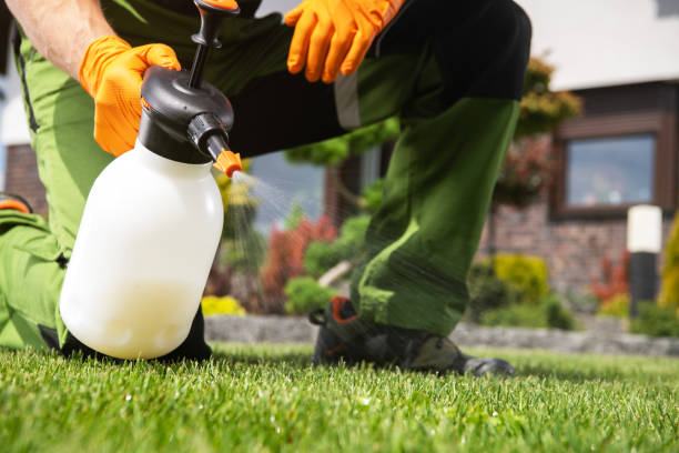 Lake Cherokee, TX Pest Control Company