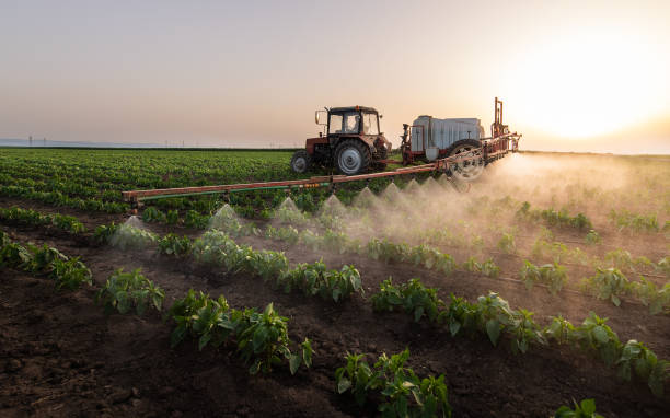 Best Pest Removal Services  in Lake Cherokee, TX