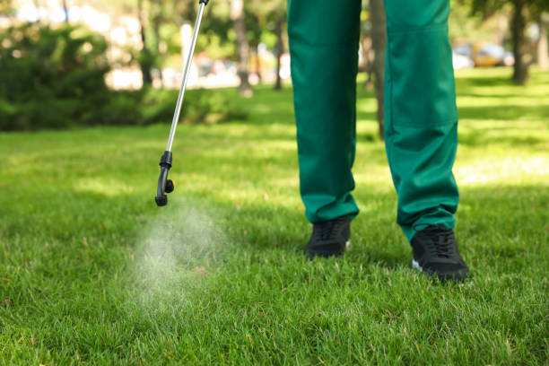 Wildlife Control Services in Lake Cherokee, TX