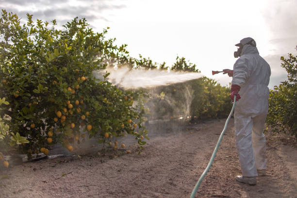 Best Cockroach Control Services  in Lake Cherokee, TX