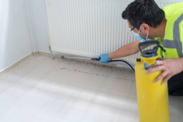 Best Exterminator Services  in Lake Cherokee, TX